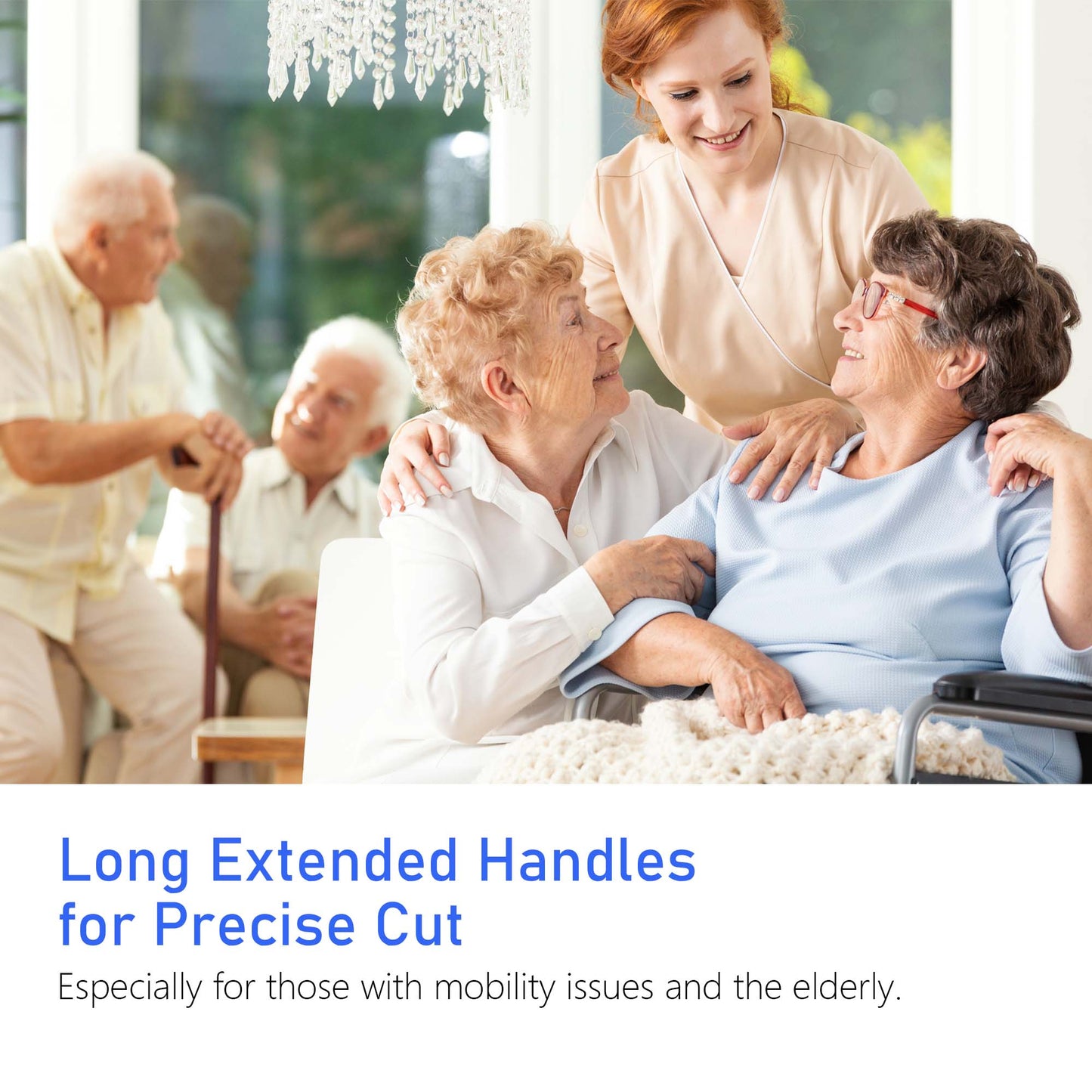 Dr.pedi Long Handle Toenail Scissors with Easy-Grip Handle, Professional Pedicure Tool for Seniors & Elderly, Ingrown & Thick Nail Clipper/Cutter, Manicure & Pedicure Stainless Steel Scissor Trimmer